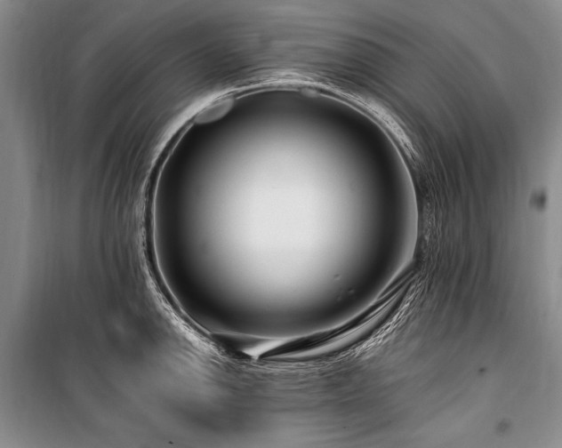 X0000101171142200806271028