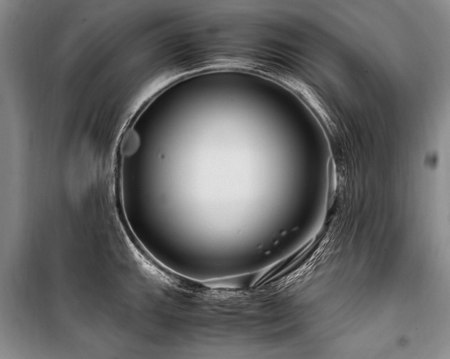 X0000101171143200806271028
