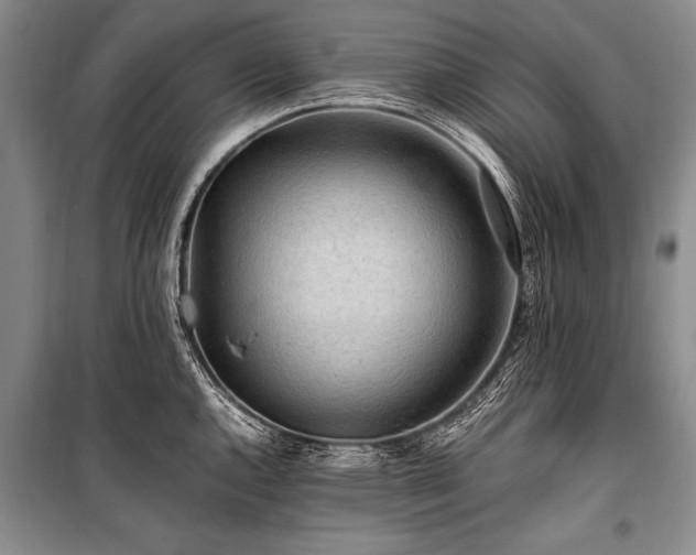 X0000101171144200806271028