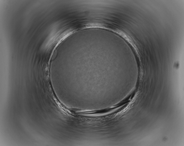 X0000101171145200806271028