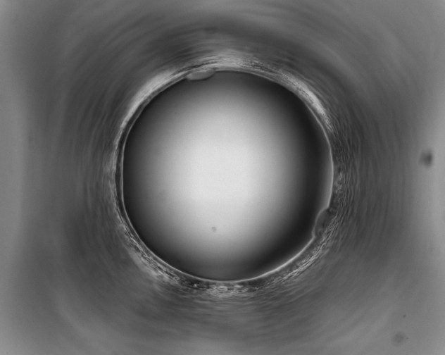 X0000101171146200806271028