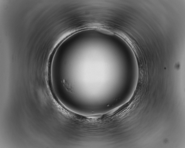 X0000101171147200806271028