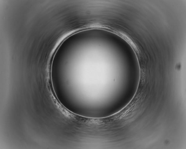 X0000101171148200806271028
