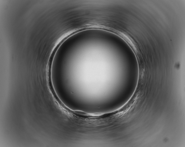 X0000101171149200806271028