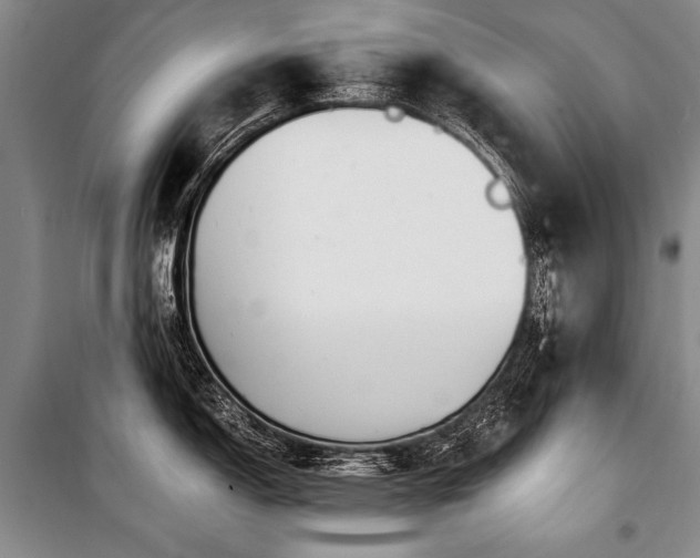 X0000101171150200806271028