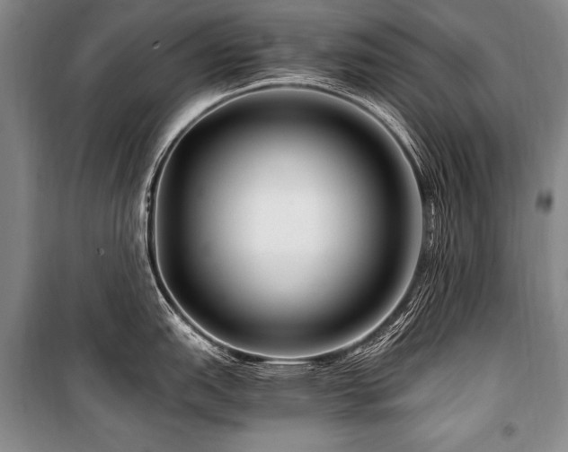 X0000101171151200806271028
