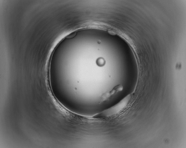 X0000101171152200806271028