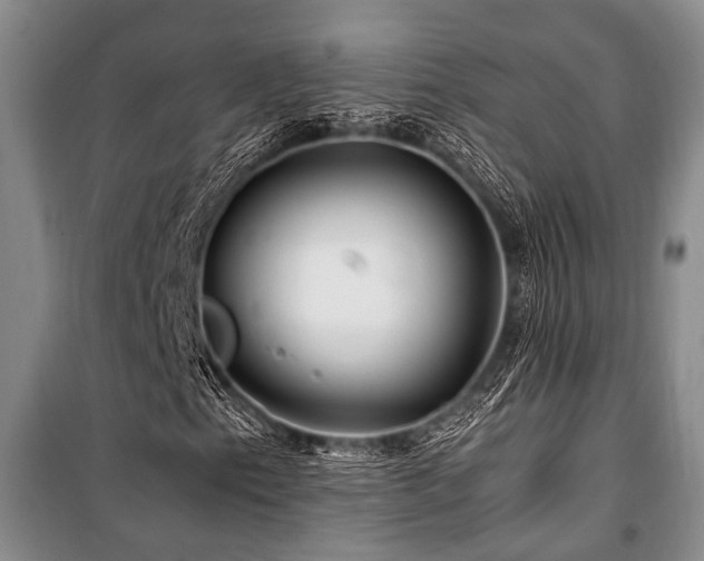 X0000101171153200806271027