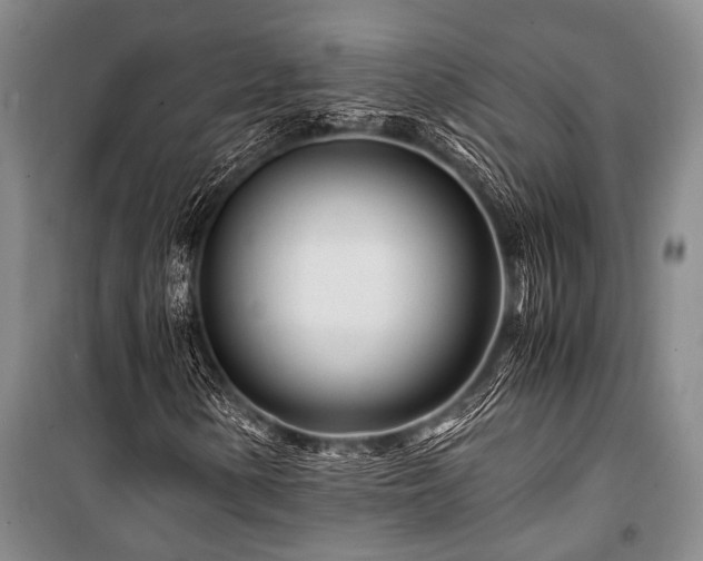 X0000101171154200806271027