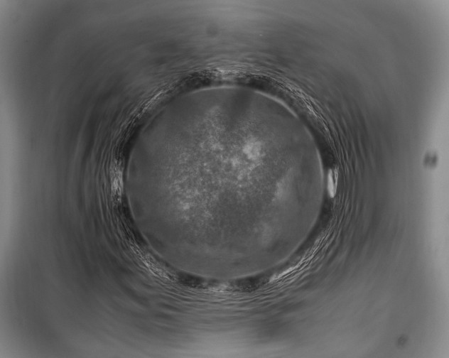 X0000101171155200806271027