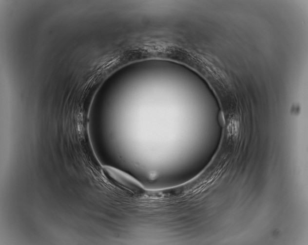X0000101171156200806271027