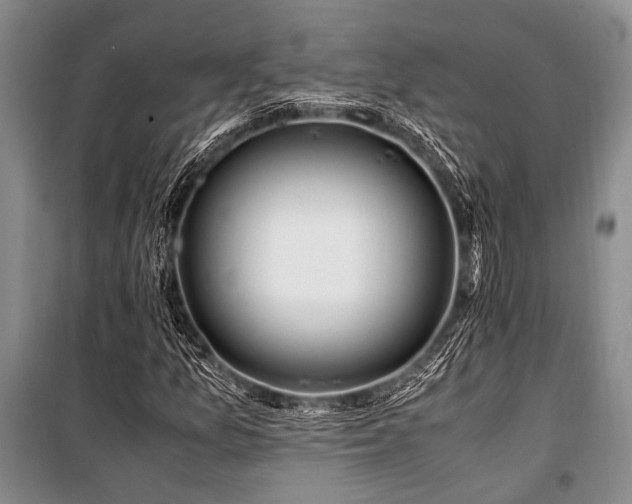 X0000101171157200806271027