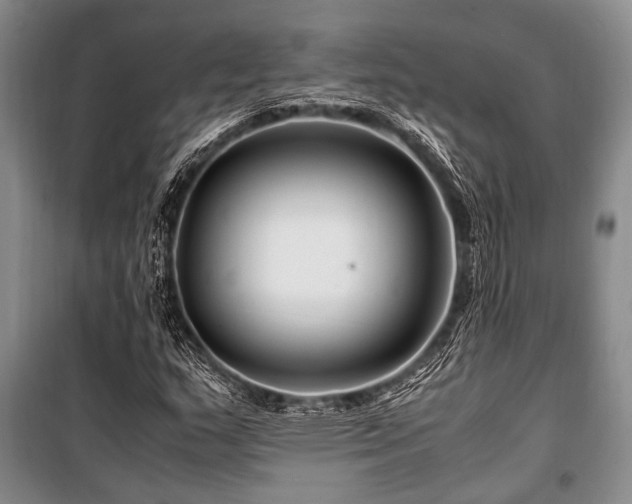 X0000101171159200806271027