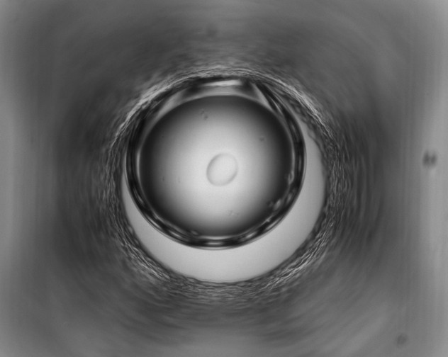 X0000101171160200806271027