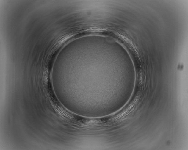 X0000101171161200806271027