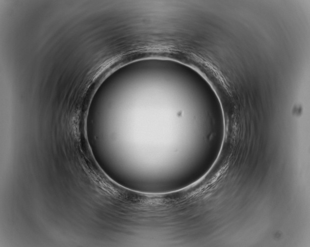 X0000101171162200806271027