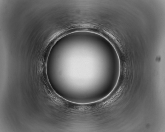 X0000101171163200806271027