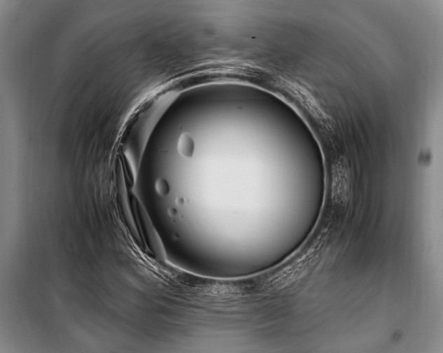 X0000101171164200806271027
