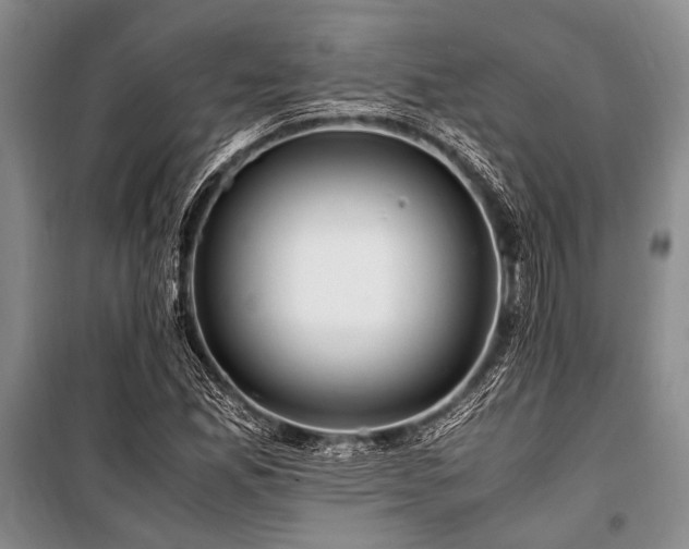 X0000101171165200806271027