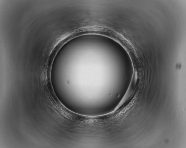 X0000101171166200806271027