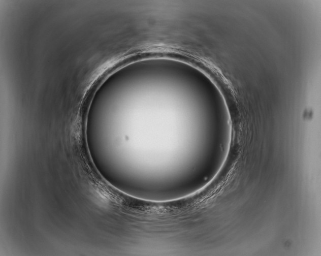 X0000101171167200806271027