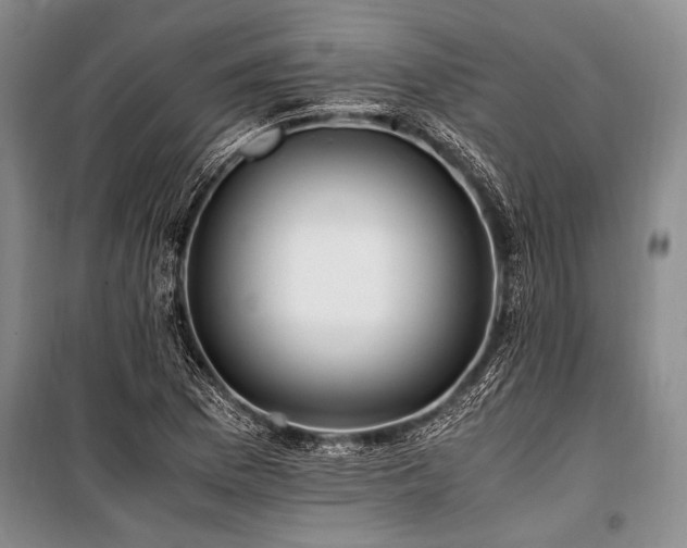 X0000101171169200806271027