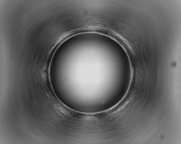 X0000101171170200806271027