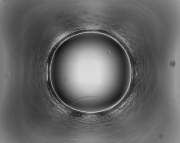 X0000101171171200806271027