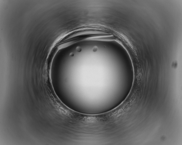 X0000101171172200806271027