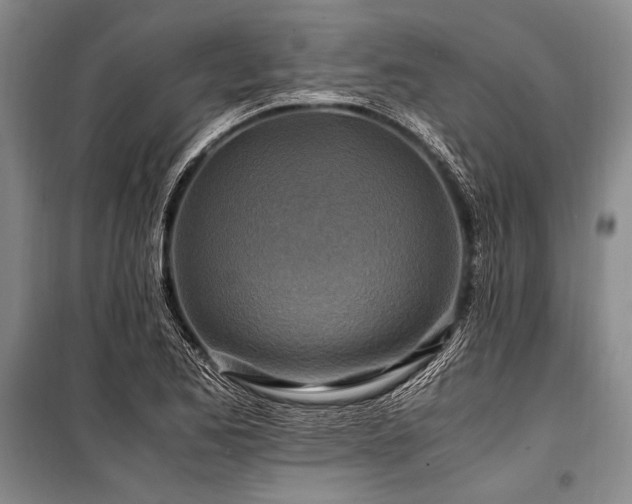 X0000101171173200806271027