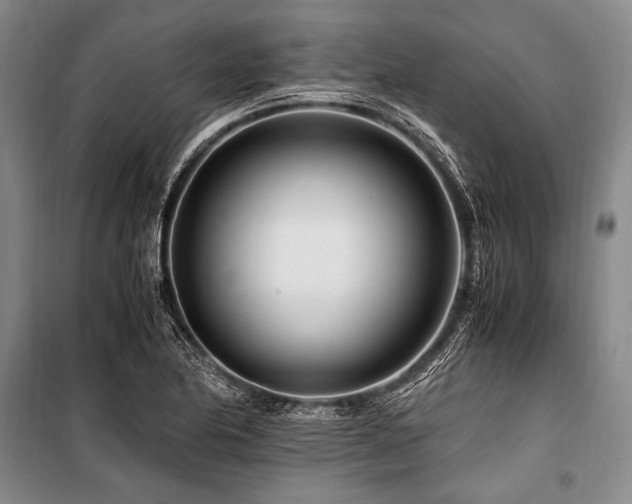 X0000101171174200806271027