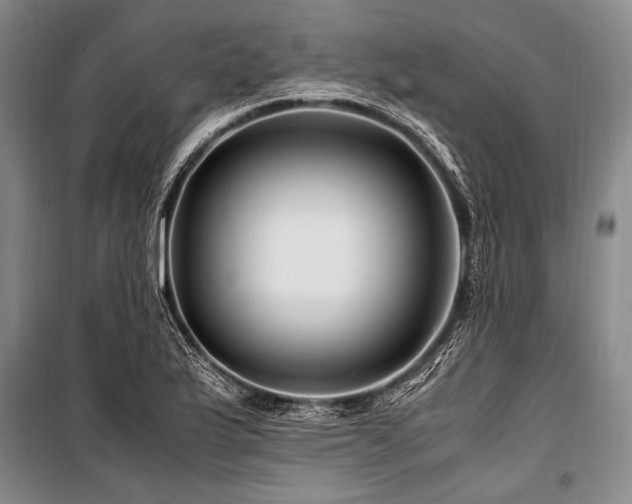 X0000101171175200806271027