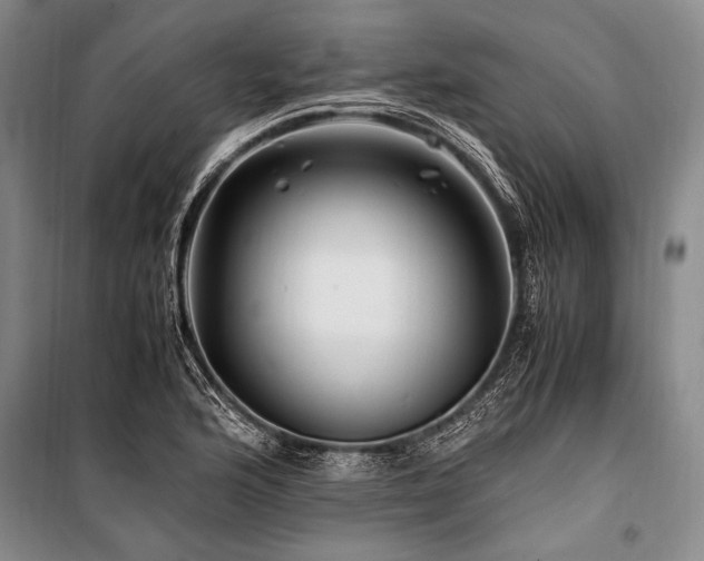 X0000101171176200806271027