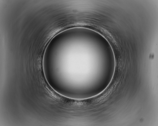 X0000101171177200806271027