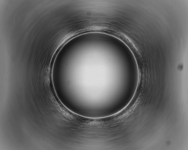 X0000101171178200806271027