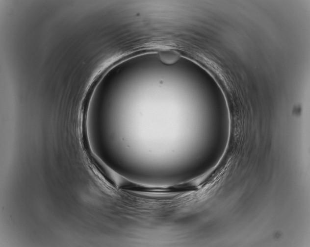 X0000101171179200806271027