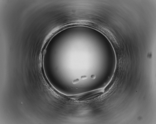 X0000101171180200806271027