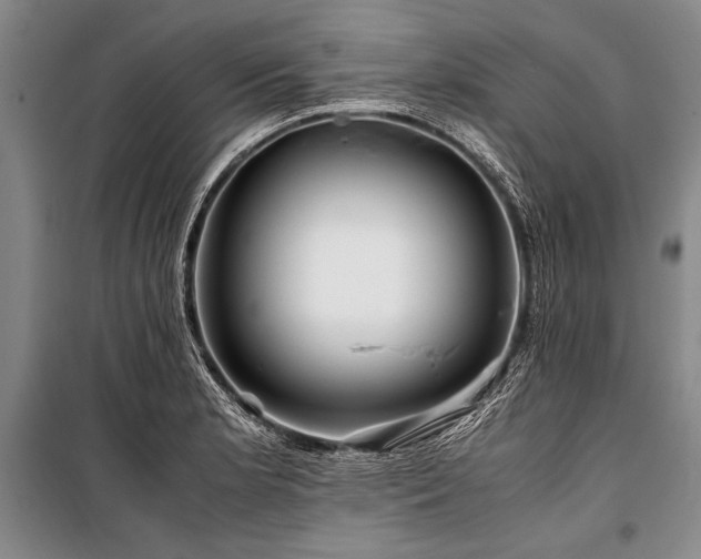 X0000101171181200806271027