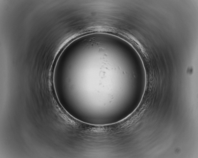 X0000101171182200806271027