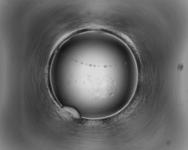 X0000101171183200806271027