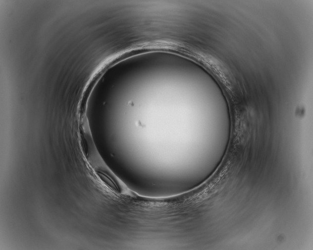 X0000101171184200806271027