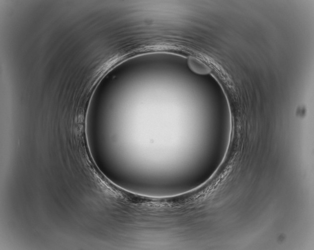 X0000101171185200806271027