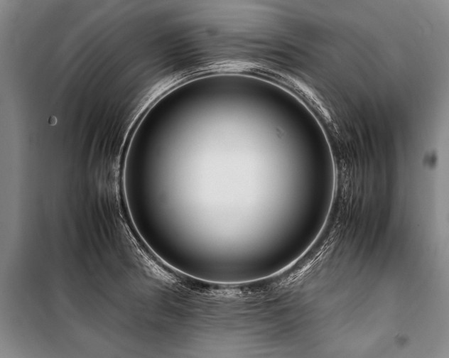 X0000101171186200806271027