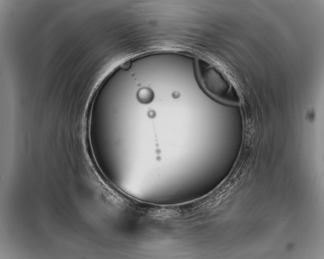 X0000101171187200806271027