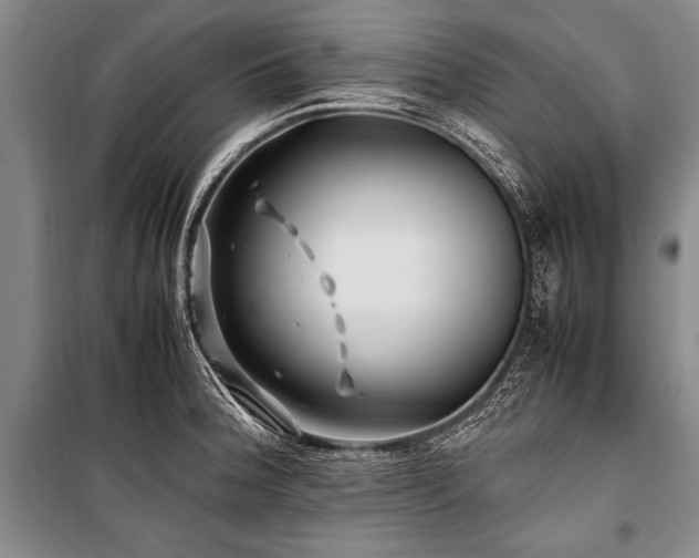 X0000101171188200806271027
