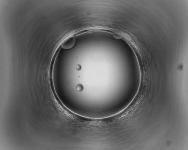 X0000101171189200806271027