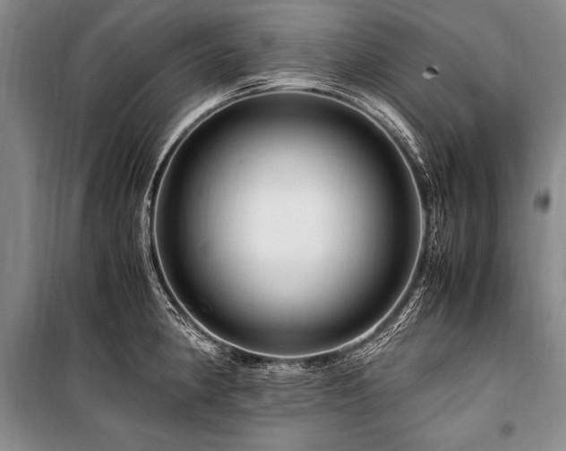 X0000101171190200806271027