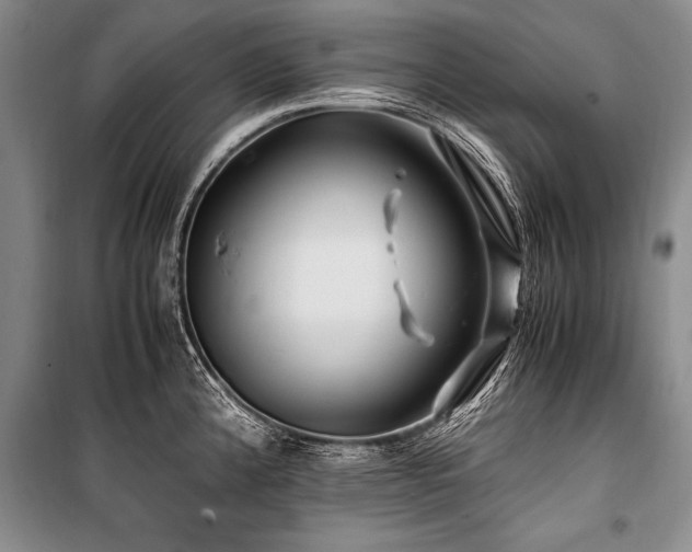 X0000101171192200806271026