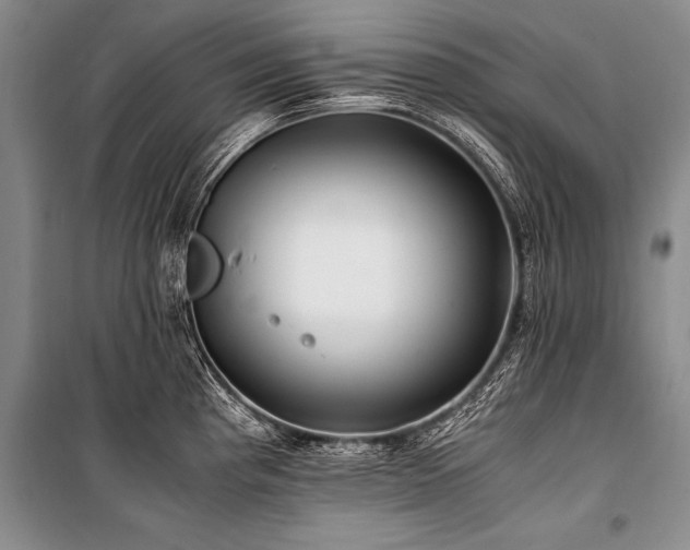 X0000101171193200806271026