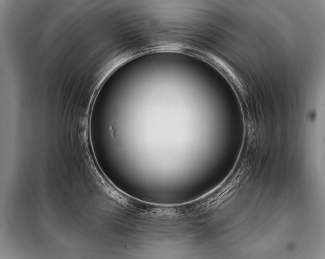 X0000101171194200806271026